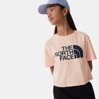 تی شرت دخترانه صورتی پودری نورس فیس The North Face