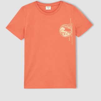 تی شرت آستین بلند پسرانه نارنجی دفاکتو defacto