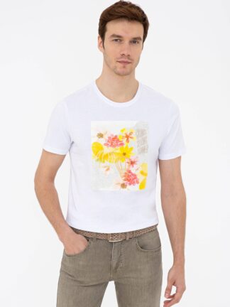 تی شرت یقه گرد مردانه سفید کاشارل