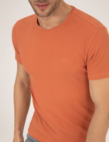 تی شرت مردانه آستین کوتاه یقه گرد مدل جذب قهوه ای پیرکاردین