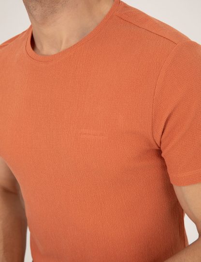 تی شرت مردانه آستین کوتاه یقه گرد مدل جذب قهوه ای پیرکاردین