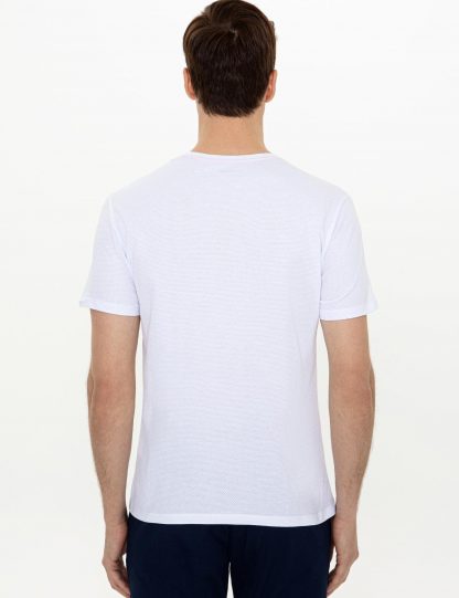 تی شرت مردانه یقه گرد طرحدار سفید کاشارل