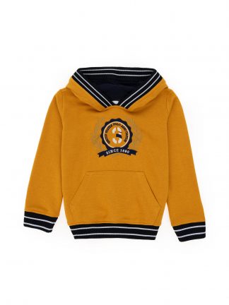 هودی پسرانه خردلی یو اس پولو