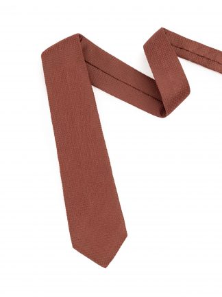 کراوات مردانه آجری پیرکاردین