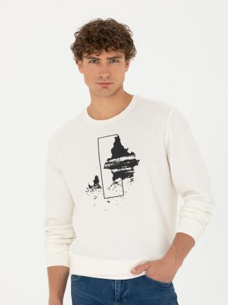 سویشرت مردانه بژ پیرکاردین