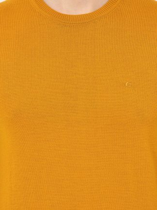 پلیور مردانه زرد کاشارل