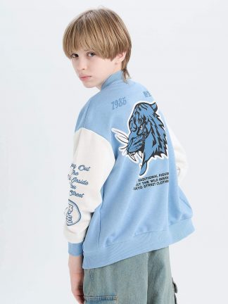 سویشرت پسرانه آبی دفکتو