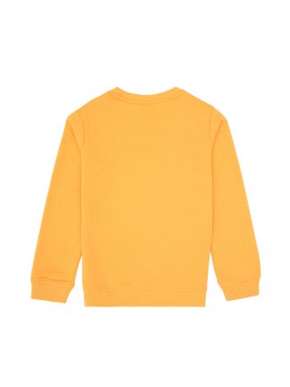 سویشرت پسرانه یو اس پولو