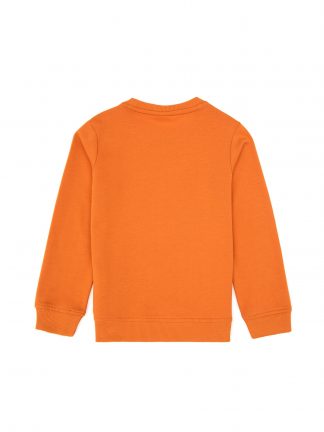 سویشرت پسرانه یو اس پولو