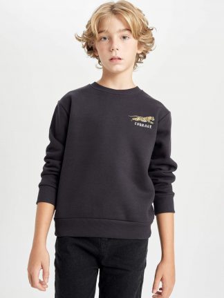 سویشرت پسرانه دفکتو