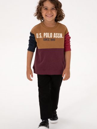 سویشرت پسرانه آلو یو اس پولو