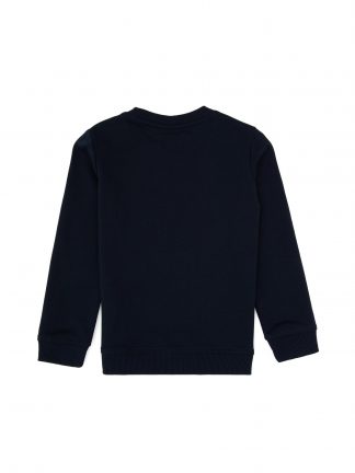 سویشرت پسرانه سرمه ای یو اس پولو