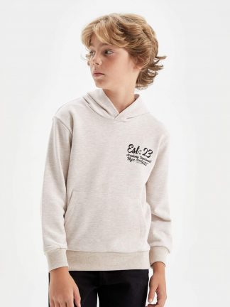 هودی پسرانه بژ دفکتو