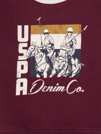 سویشرت پسرانه آلو یو اس پولو