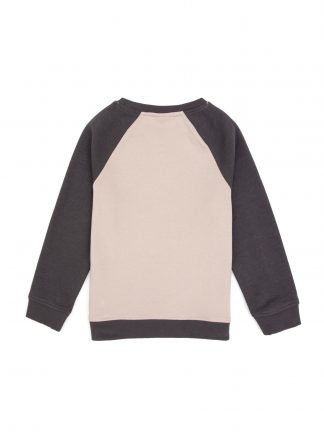 سویشرت پسرانه خاکستری یو اس پولو